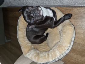 Cookie, Manchmal läuft das Leben nicht so, wie geplant.