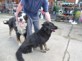 Drei von sieben die die Eltern nerven