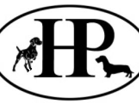 Wochenendseminar "Nase runter" Sicheres Suchen und Apportieren.