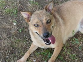 Die liebe Cherry sucht ein Zuhause