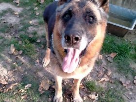 Lupone,er hatte nicht viel aber jetzt hat er nicht einmal mehr das