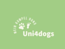 Uni4dogs - Mein Kumpel Hund Hundeschule /-Erziehung in Dortmund und Umgebung