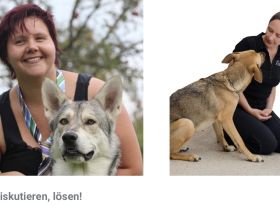 Nicht diskutieren, lösen!