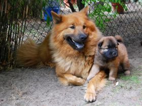 von der frischen Quelle