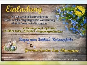 Internationale Doppeltitel - Rassehundeschau in Goslar - Niedersachsen