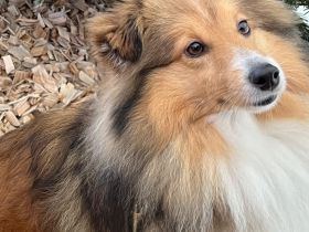 Holy Harbour’s Treasure