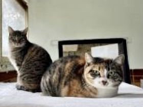 Piti und Pelusa, Mutter-Tochter-Gespann