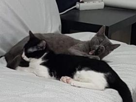 Duende und Titino, Mutter und Sohn