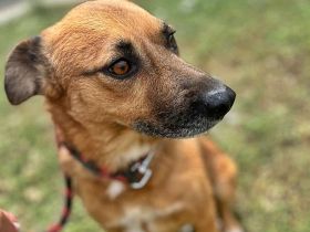 Stevie, sehr freundlich und lieb