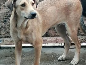 Leo, freundlich aber zurückhaltend