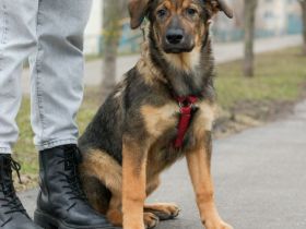 Lilith sucht liebevolle Familie