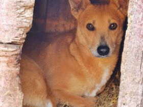 Toni, etwas schüchtern, liebevoll