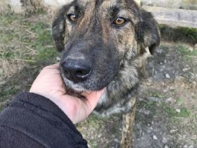 Inge, freundlich und sozial