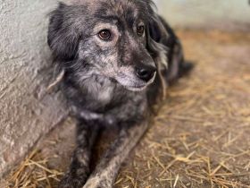 Malea, ängstlich, braucht Zeit