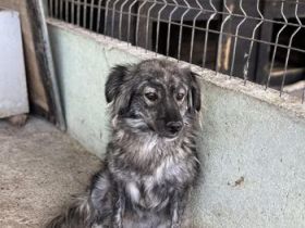 Malea, ängstlich, braucht Zeit