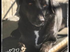 Jason - eher ängstlich