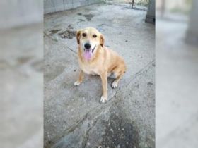 Lousy - lebenslustig