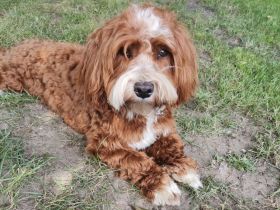 From the sunny side of life