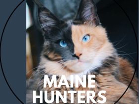 Mainehunters