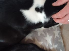 In liebe vollen Händen