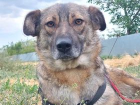 Ylenia, sehr freundlich und lieb