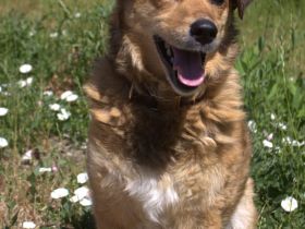 Wir sind Hummel und Momo!