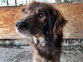 Louie, etwas ängstlich