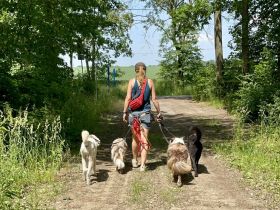 Professioneller Dogwalk • Hundebetreuung Vierbeinerpfad