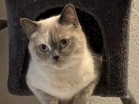 BKH/BLH Abgabe 15.07.23