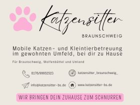 Katzensitter Braunschweig