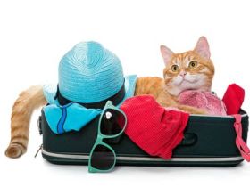 Ferienjob für Schüler - 17.-22.7.2023, 1-2 Std. täglich