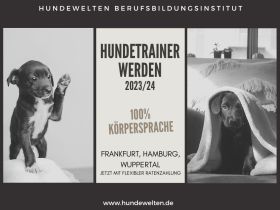 Hundetrainer Ausbildung