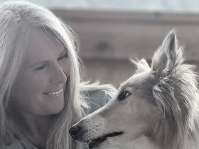 Elite Hundecoaching by Kerstin Lühr