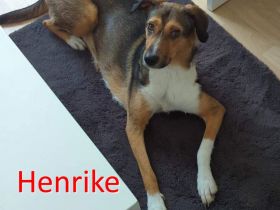 HENRIKE ❤️