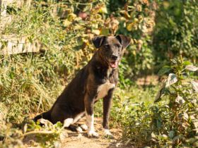 Bist du Minas sicherer Hafen?