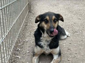 Aleksi hat seine Koffer schon gepackt