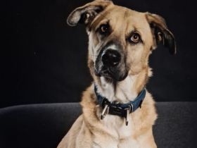 Gibst du Max eine Chance auf ein neues Leben?