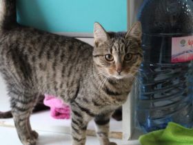 Summer möchte dein Herz erwärmen