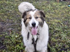 Hilfst du Paloma beim Auspacken von ihrem Rucksack?