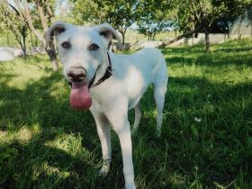 Wer zeigt dem süßen Yuri das Leben?