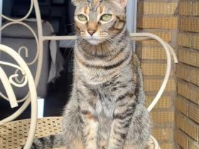 Yuno, Einzelprinzessin