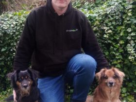 Dogs Communicaton Training rund um Ennepetal by Dogsvita