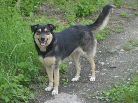 MYRA sehnt sich nach einer lieben Familie