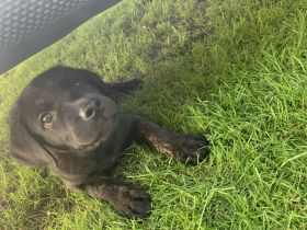 Wir dürfen ausziehen