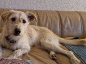 Schenkst du Jackpot einen Platz in deinem Herzen?