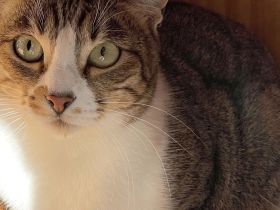 Daga - anfangs ängstlich, aber sehr liebenswert und sozial