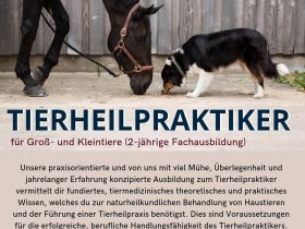 Ausbildung zum Tierheilpraktiker für Groß-und Kleintiere