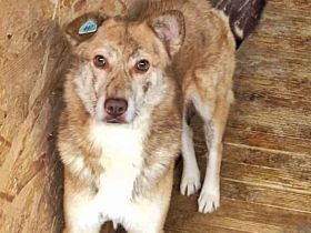 Sam (2), freundlich, unsicher und vorsichtig