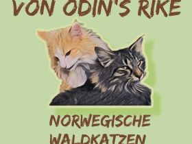 von Odin's rike
