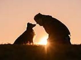 von den Frankenwald Stars